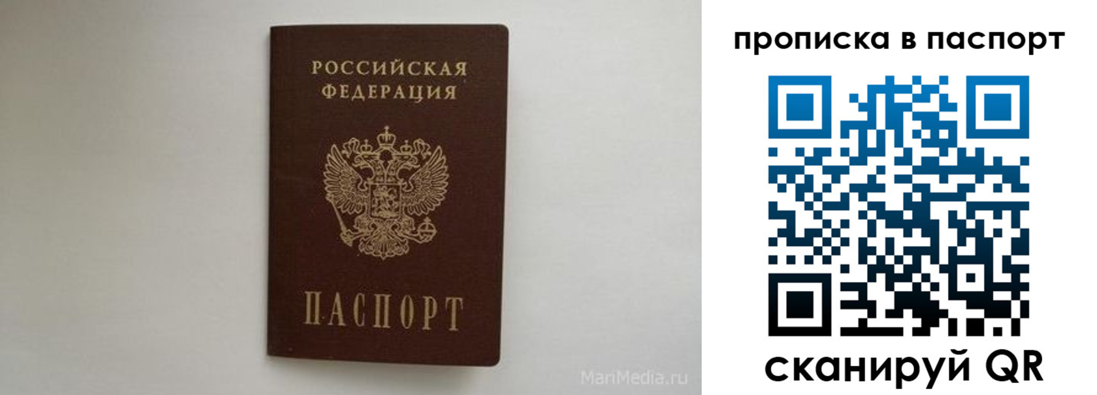 регистрация для школы в Ельце